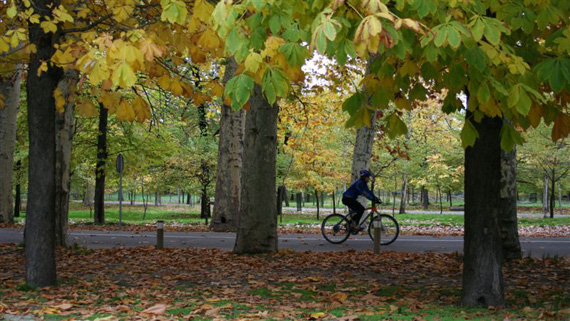 bici